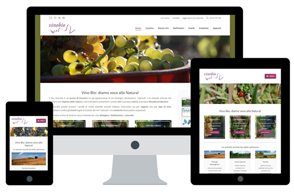 vinobio-responsive