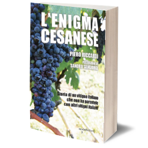 enigma cesanese